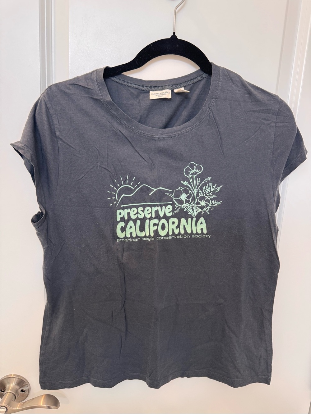American Eagle Outfitters Gray Tee with Mint Graphic